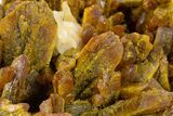 Vibrant Orpiment Crystal Cluster with Calcite - China #324447-1
